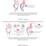 How I Draw Hands
