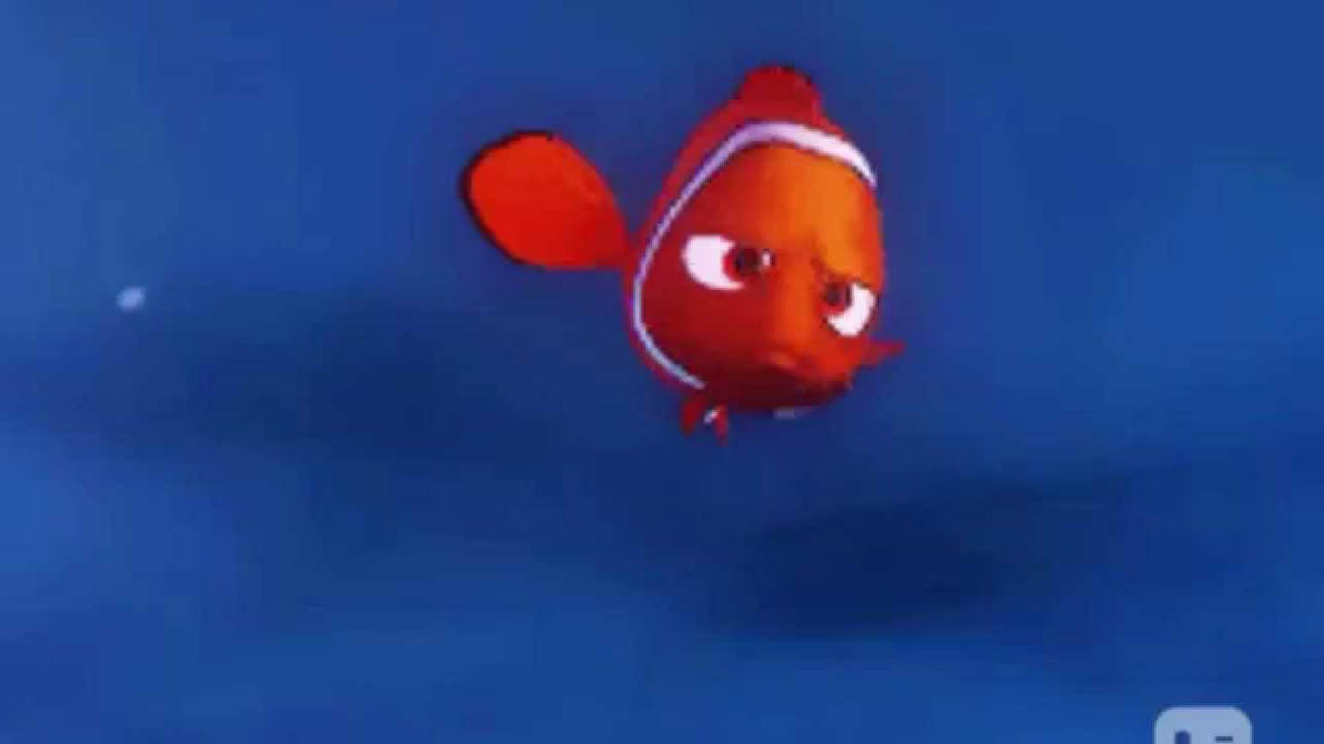 Angry Nemo is in Trouble by Littleprincesscutie on DeviantArt