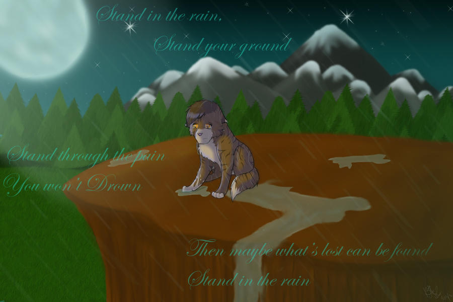 Leafpool - Stand in the rAin