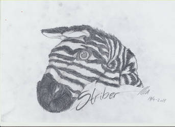 Striber - AKA Stripes