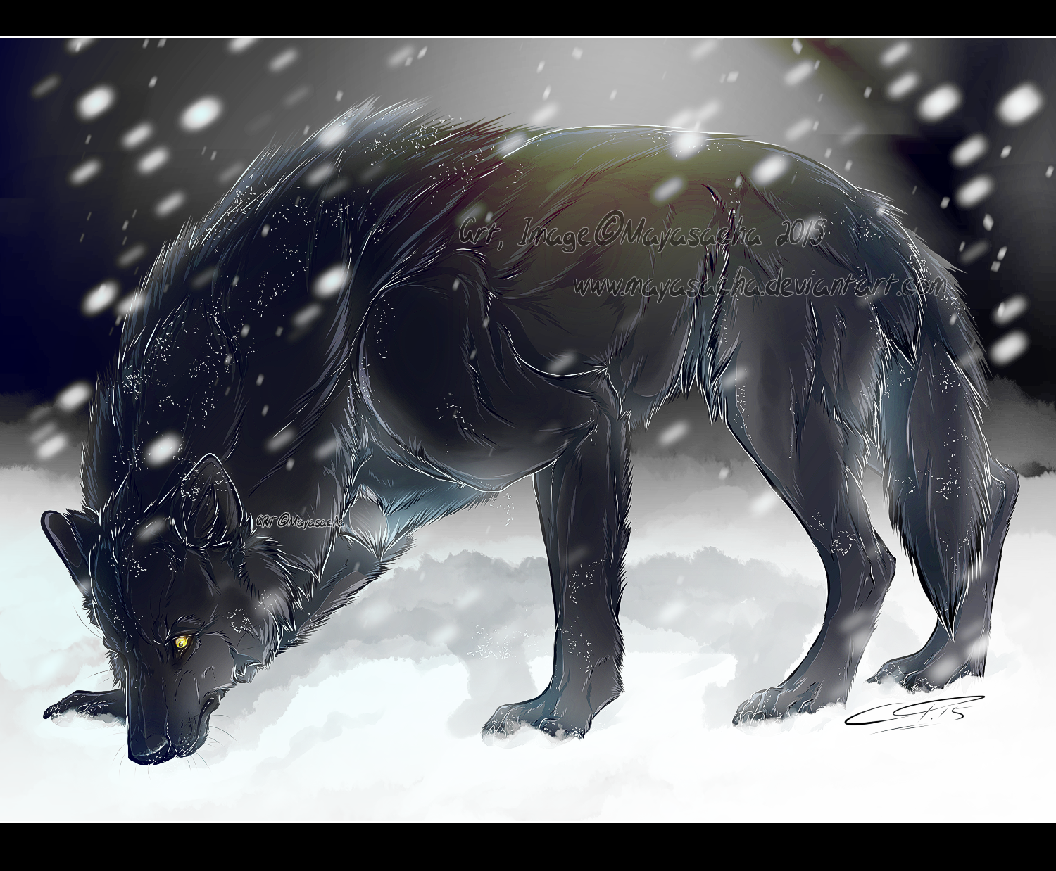 .:PA:Black wolf in White land:.