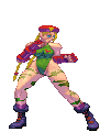 Cammy colors