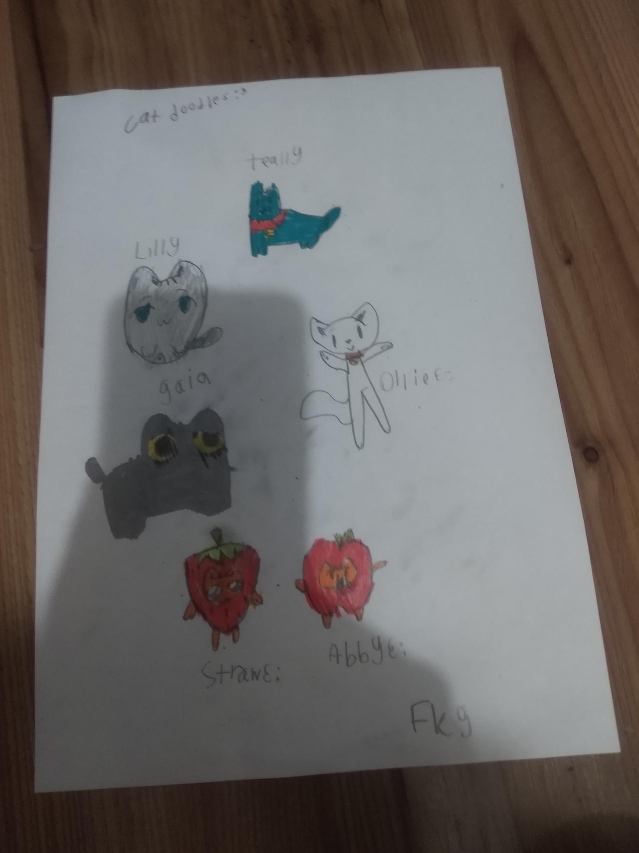 Random cat doodles I made