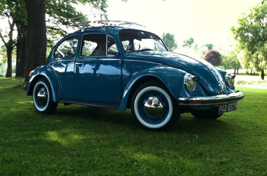 Gonzo VW Beetle