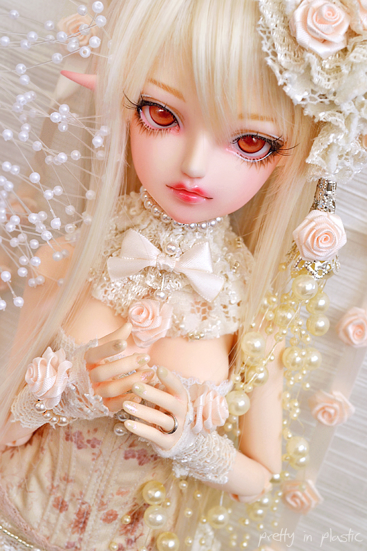 Cream Rose ::02::