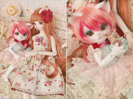 sweet cat sisters