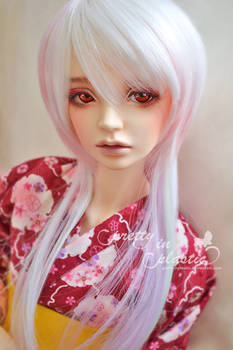 sweet Aki