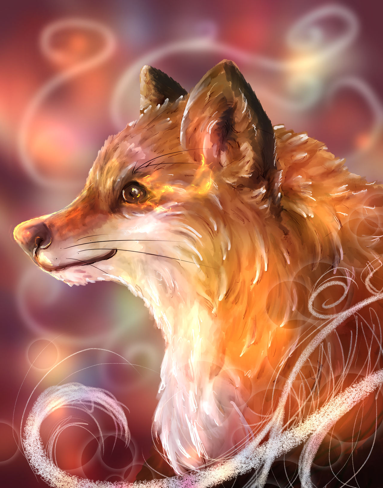 Red Fox on FaunaFocus - DeviantArt