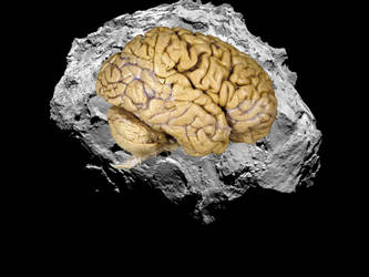 Brain comet