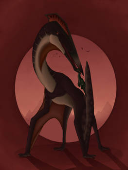 Hatzegopteryx thambema