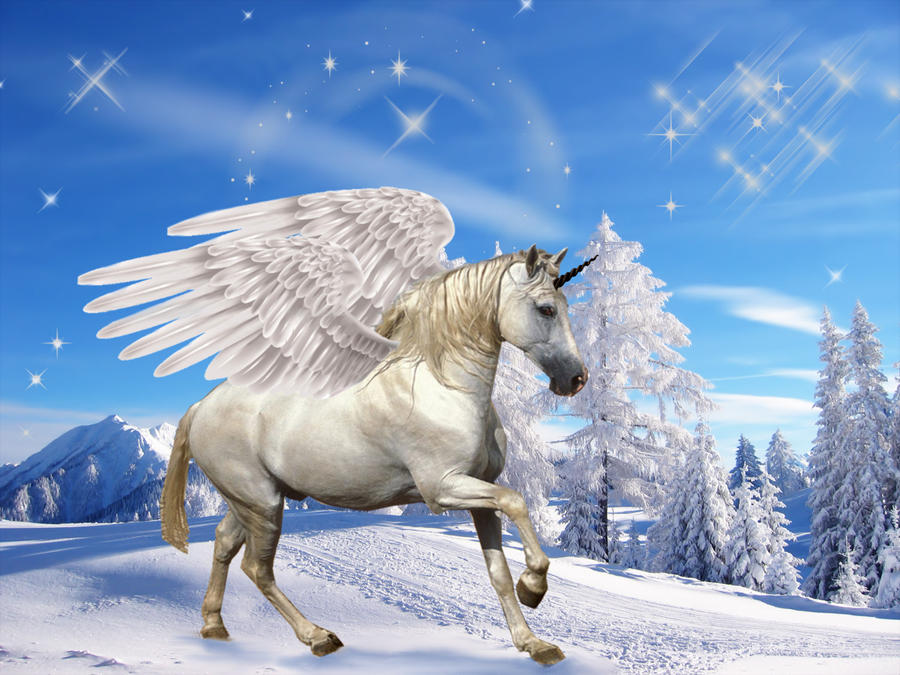 SNOW PEGASUS