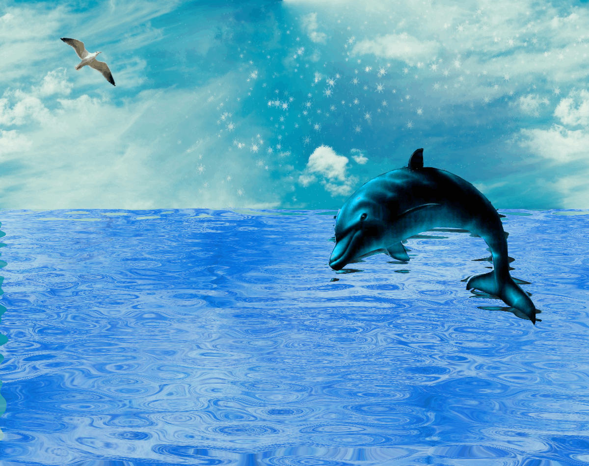 OCEAN DOLPHIN by Aim4Beauty on DeviantArt