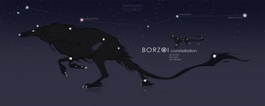 Adopt BORZOI [SOLD]