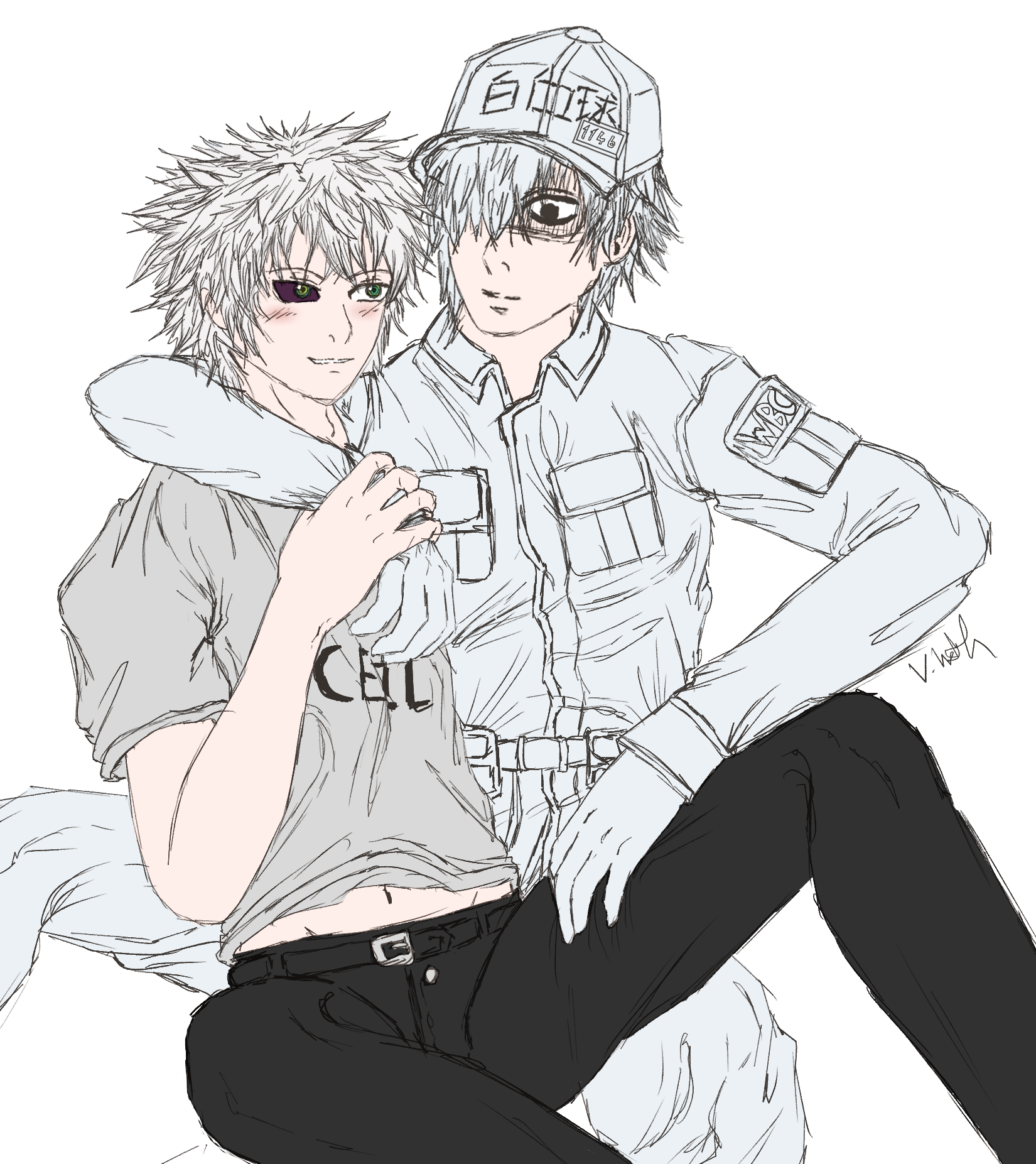 Cells at work, white blood cell, U-1146