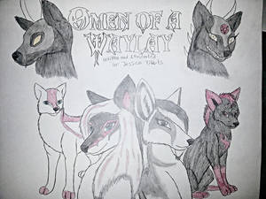 The Cover Of Omen Of A Waylay