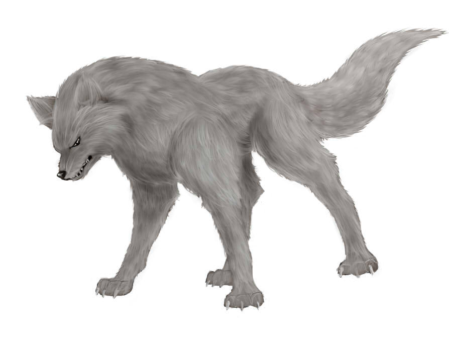 Wolf by AnastasiaZaitseva013 on DeviantArt