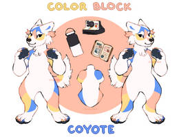 [CLOSED] Color Block Coyote