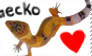 Gecko Love