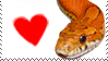 Corn Snake Love