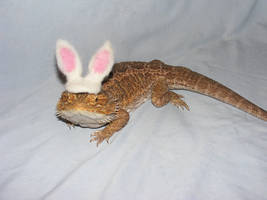 Easter Dragon