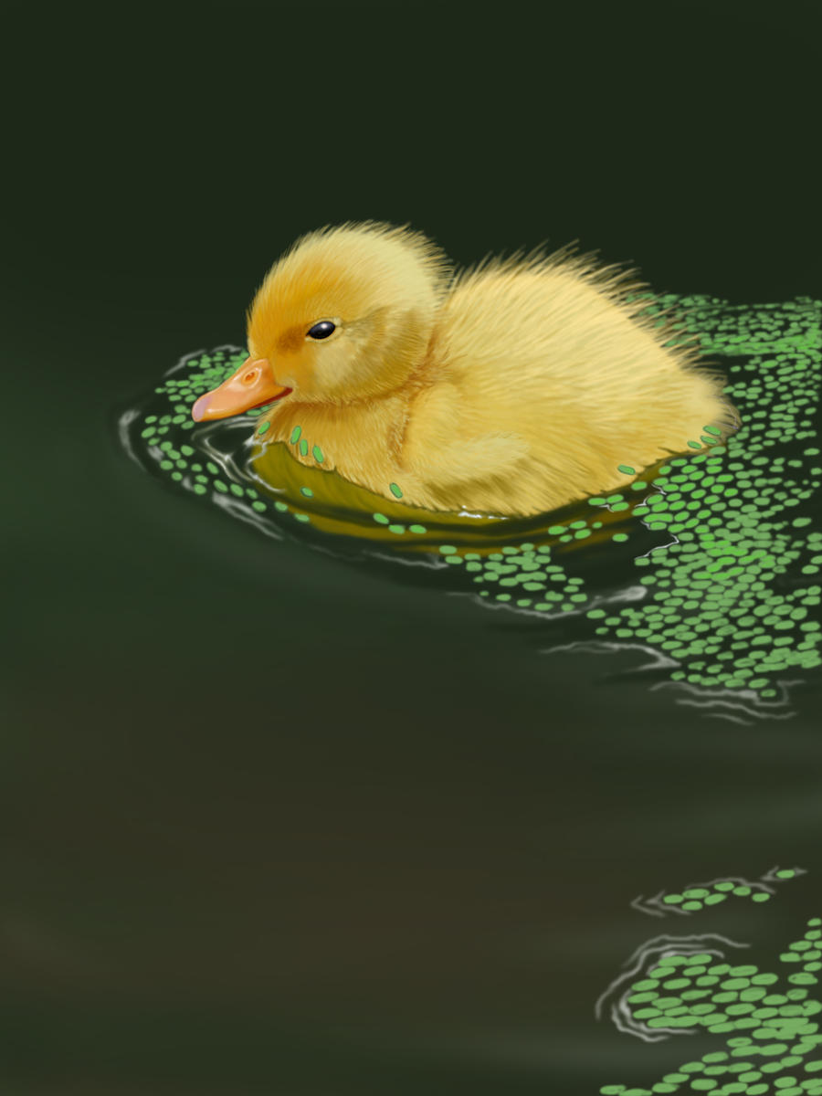 Duckling Finished