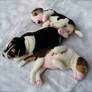 Custom Needle Felted Beagle Puppies