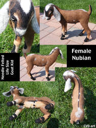 SALE Needle Felted Life Size Nubian Goat Kid