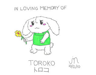 In loving memory of Toroko