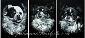 Piggy, Maggie, Jenny (scratchboards)