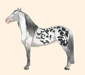 Horse-tober 29- Leopard Appaloosa 3