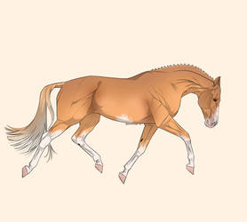 HAW 4 - Chestnut Warmblood