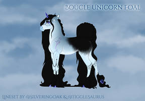 O897 Foal Design