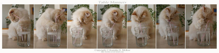 Table Manners