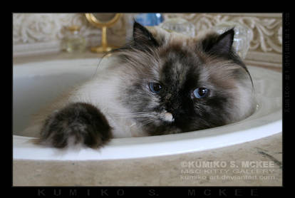 Chibi in the Sink 2