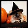 Happy Halloween Cat - CHIBI