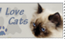 I LOVE CATS - Stamp