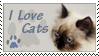 I LOVE CATS - Stamp