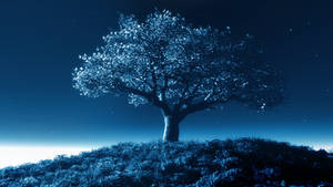 Tree by night