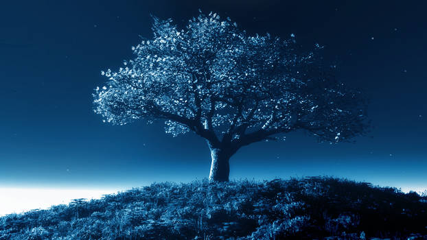 Tree by night