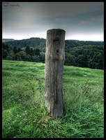 Neandertal -  bollard