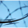 razor wire