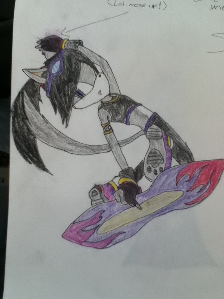 lol im i drew myself as if i were in sonic riders