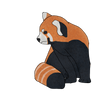 Red Panda