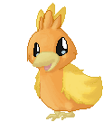 Torchic