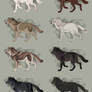 Semi-Realistic Wolf Adoptables Set 3 - CLOSED