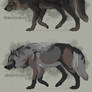 Semi-Realistic Wolf Adoptables Auctions - CLOSED