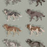 Semi-Realistic Wolf Adoptables Set 12 - CLOSED