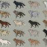 Semi-Realistic Wolf Adopts - Set 23 - CLOSED