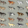 Semi-Realistic Wolf Adopts - Set 27 - CLOSED