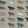 Semi-Realistic Wolf Adopts - Set 31 - SOLD